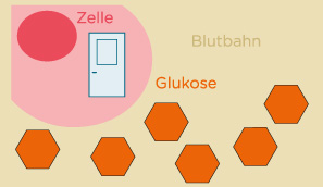 Fehlendes Insulin im Schlüssel Schloss Prinzip 