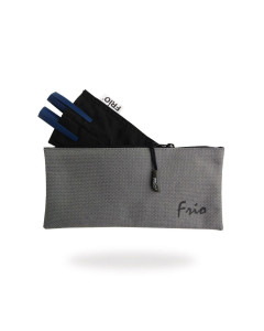 Frio Viva Doppel Kühltasche grau